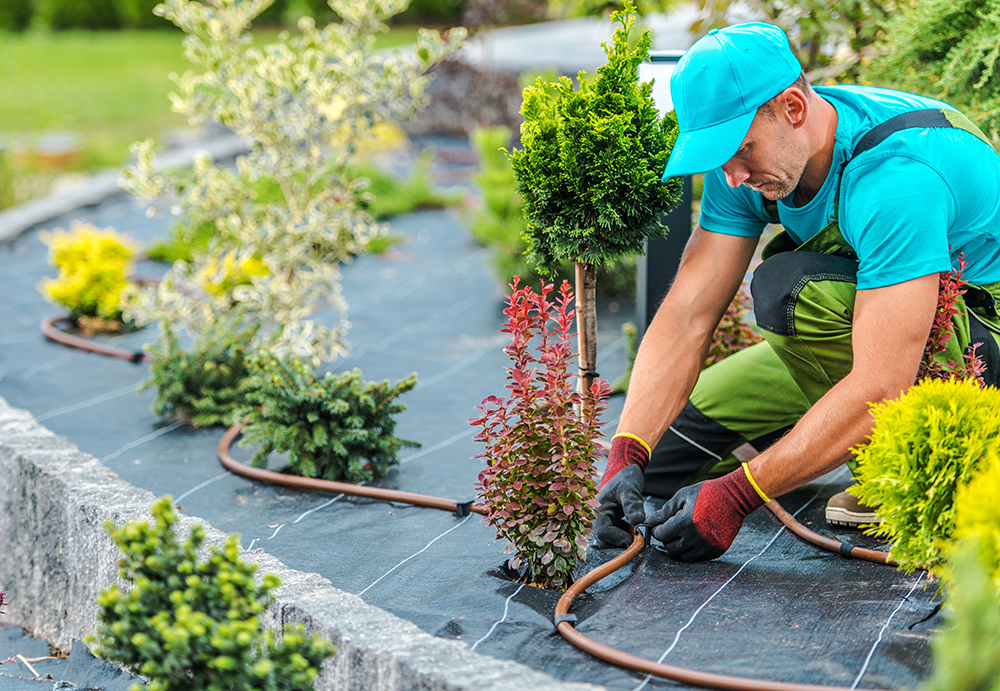 Bay Area Landscaping Bay Area Landscaping