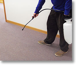 Bay Area Commercial Carpet  Cleaning