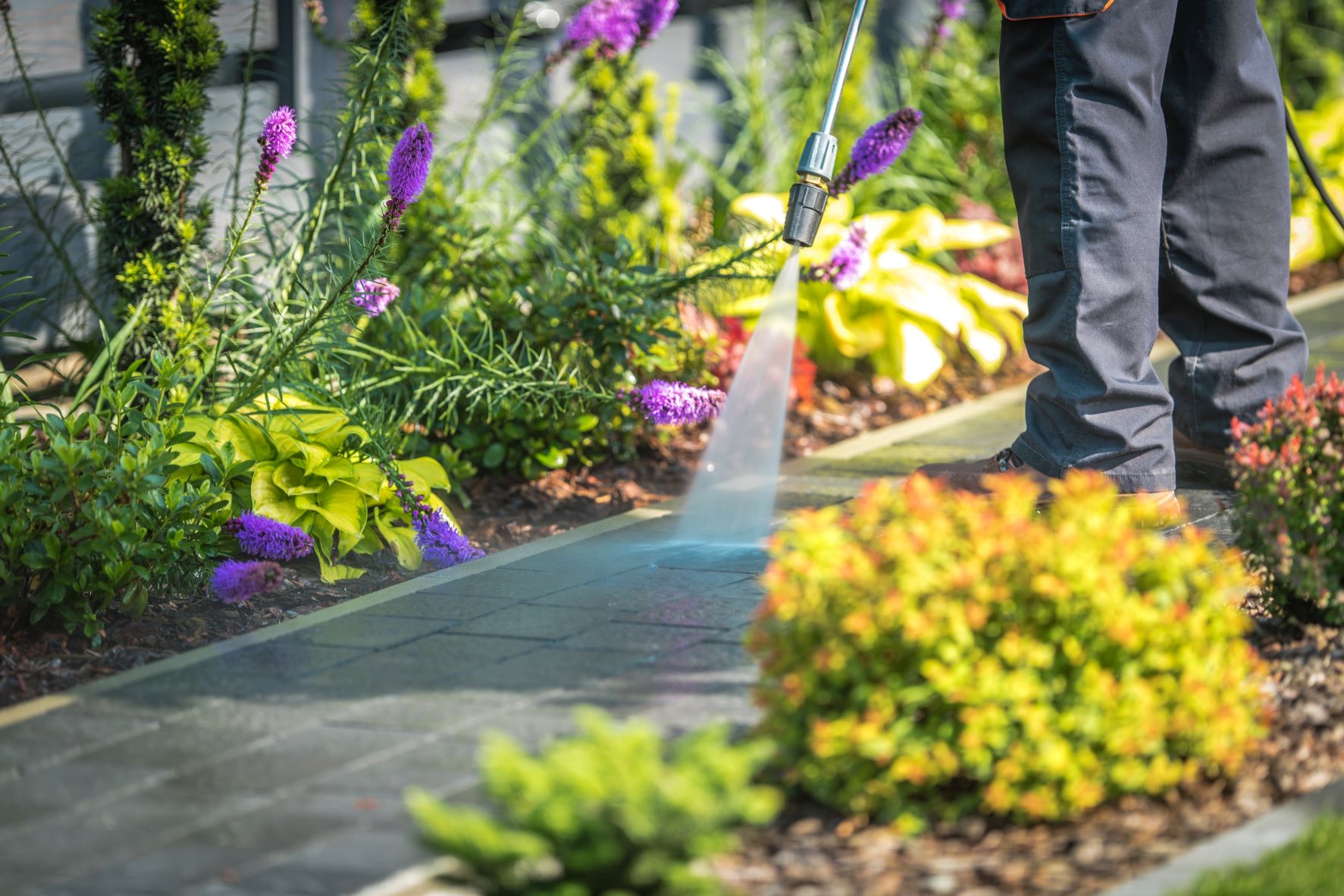 Pressure washing + landscape