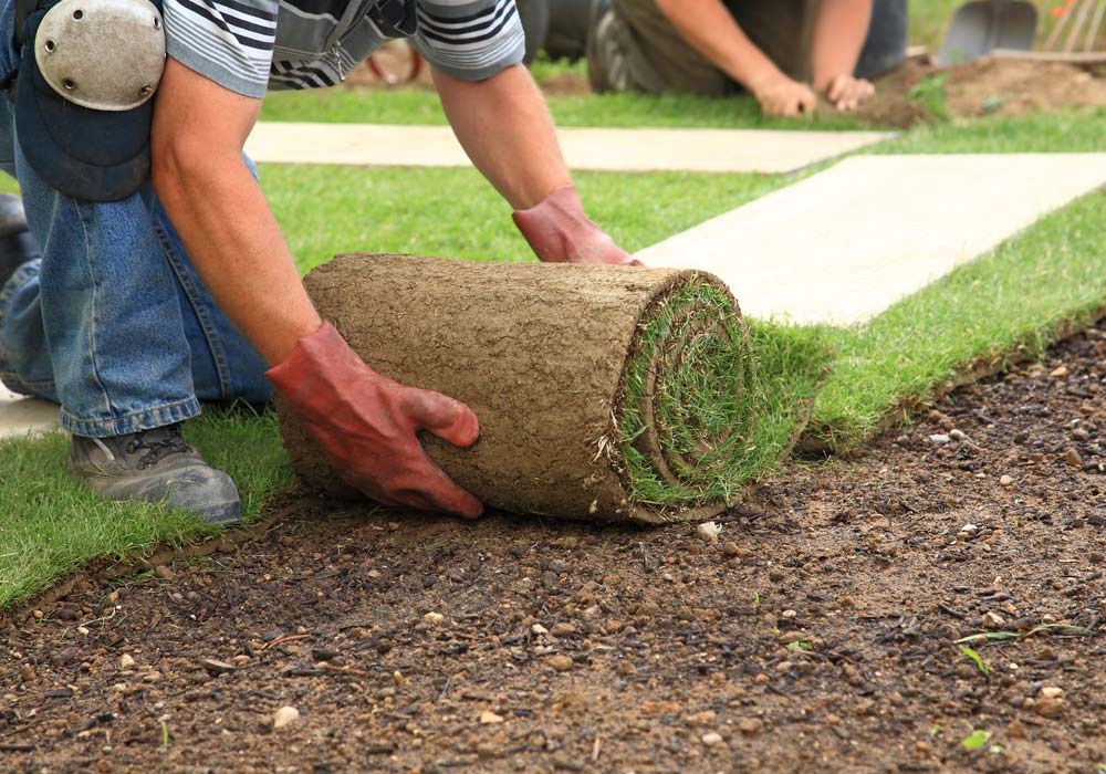 What Should You Look for In a Commercial Landscaping Company?