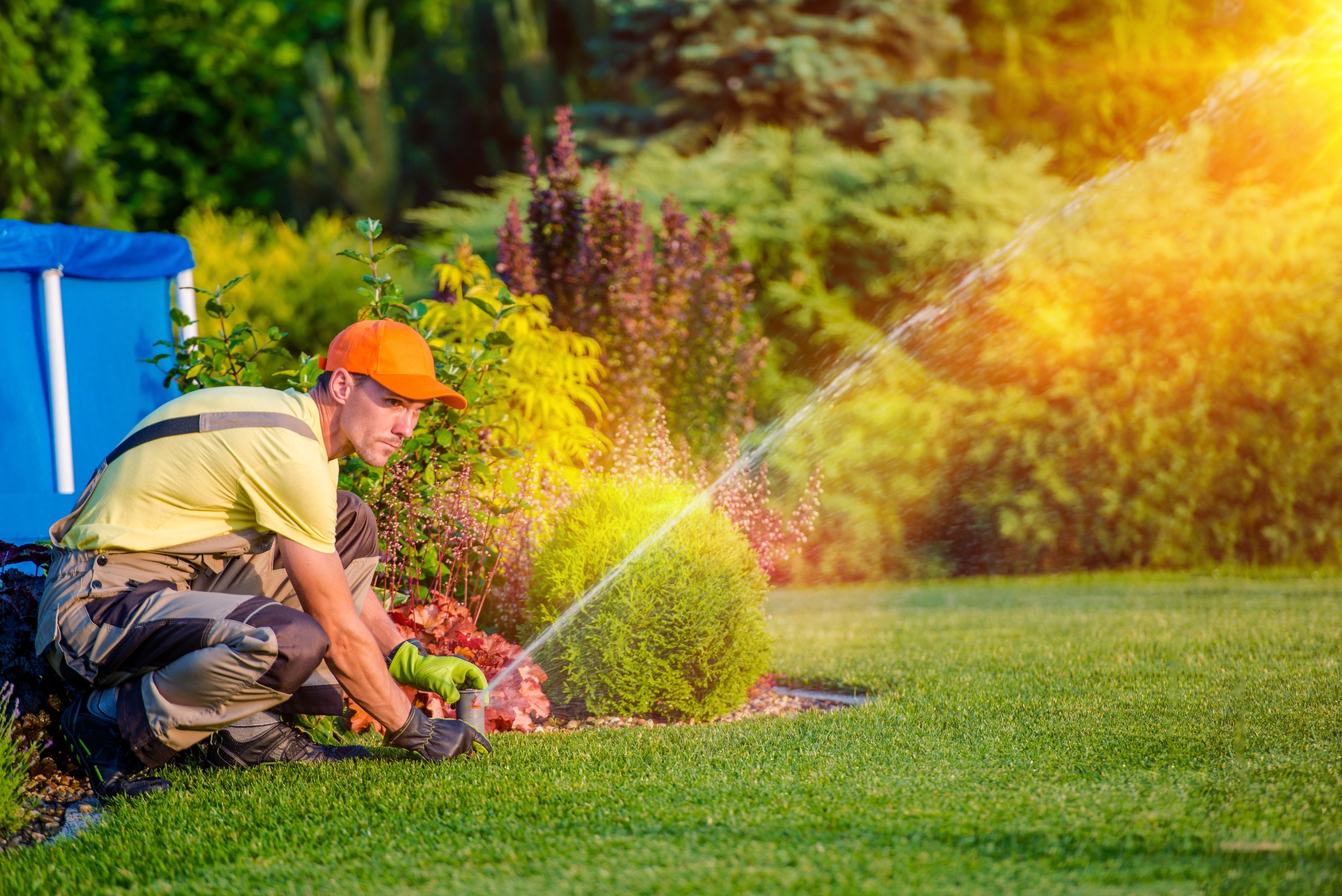 What Should You Look for In a Commercial Landscaping Company?