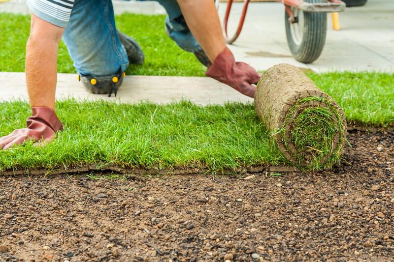 What Should You Look for In a Commercial Landscaping Company?