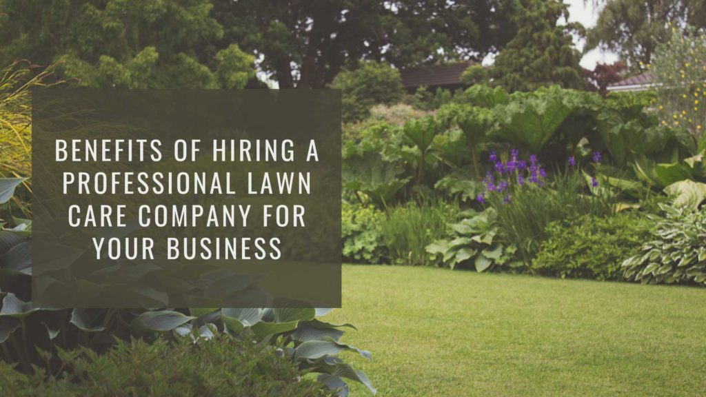 Why Hiring Professional Lawn Care for Your Business