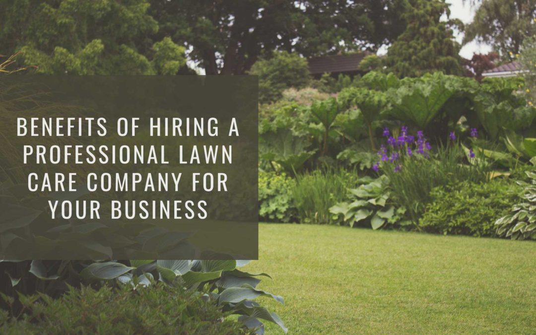 Why Hiring Professional Lawn Care for Your Business