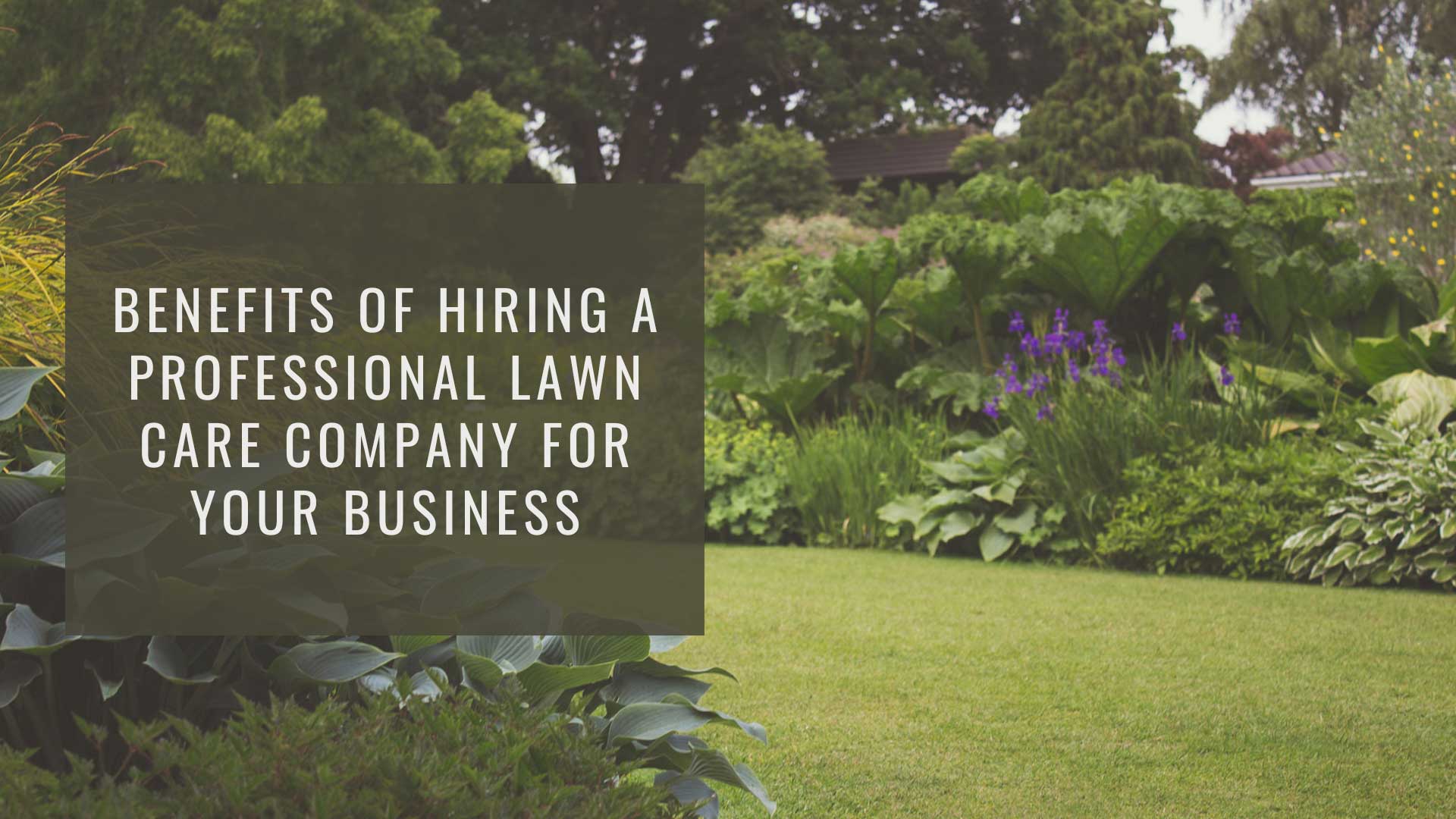 What Should You Look for In a Commercial Landscaping Company?