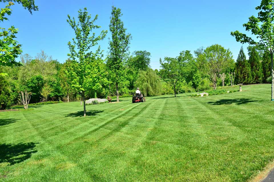 What Should You Look for In a Commercial Landscaping Company?