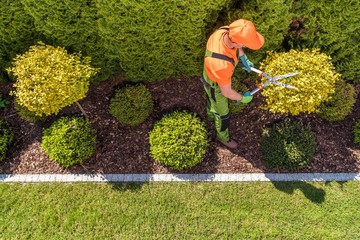 Commercial Landscape Maintenance