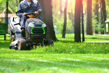 Commercial Landscape Maintenance Services