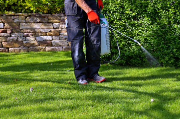 Landscape Maintenance & Pest Control