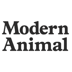 Modern Animal Modern Animal