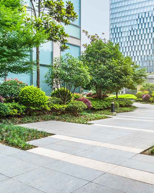 Best Commercial Landscaping Services